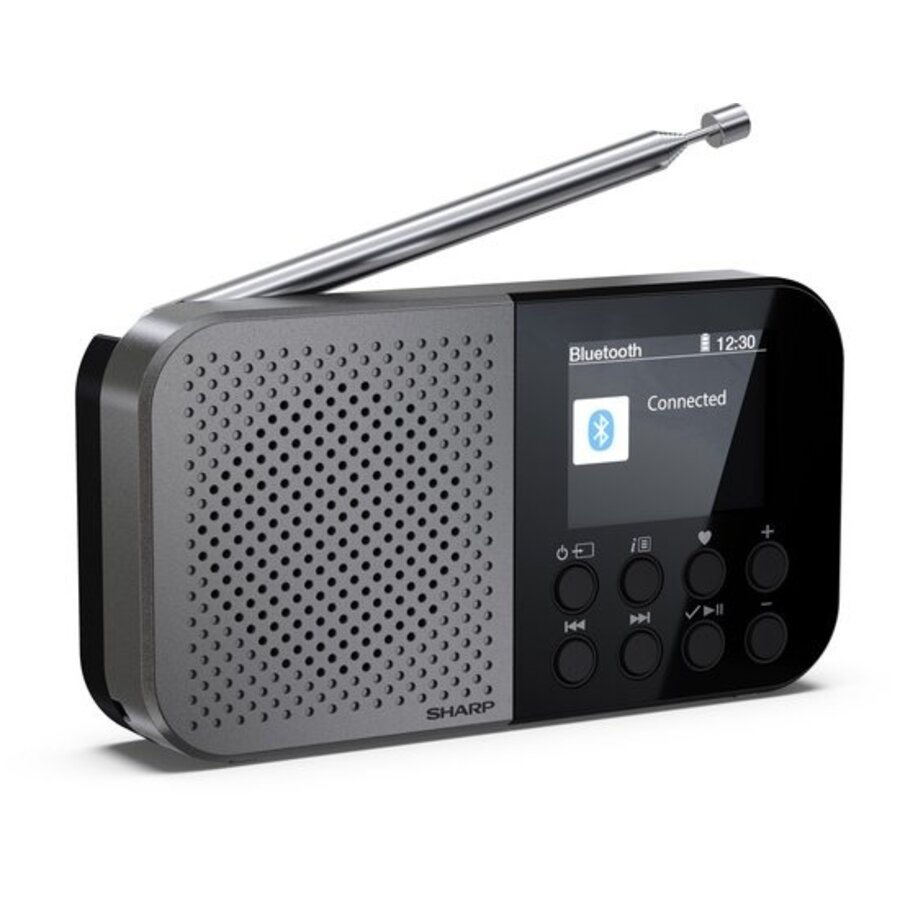 Sharp DR-P520(GY) Osaka Storm Grey DAB+ en FM Radio met Bluetooth, draagbaar ontwerp, ingebouwde accu, USB-C opladen en helder LCD-display voor thuis en onderweg-1