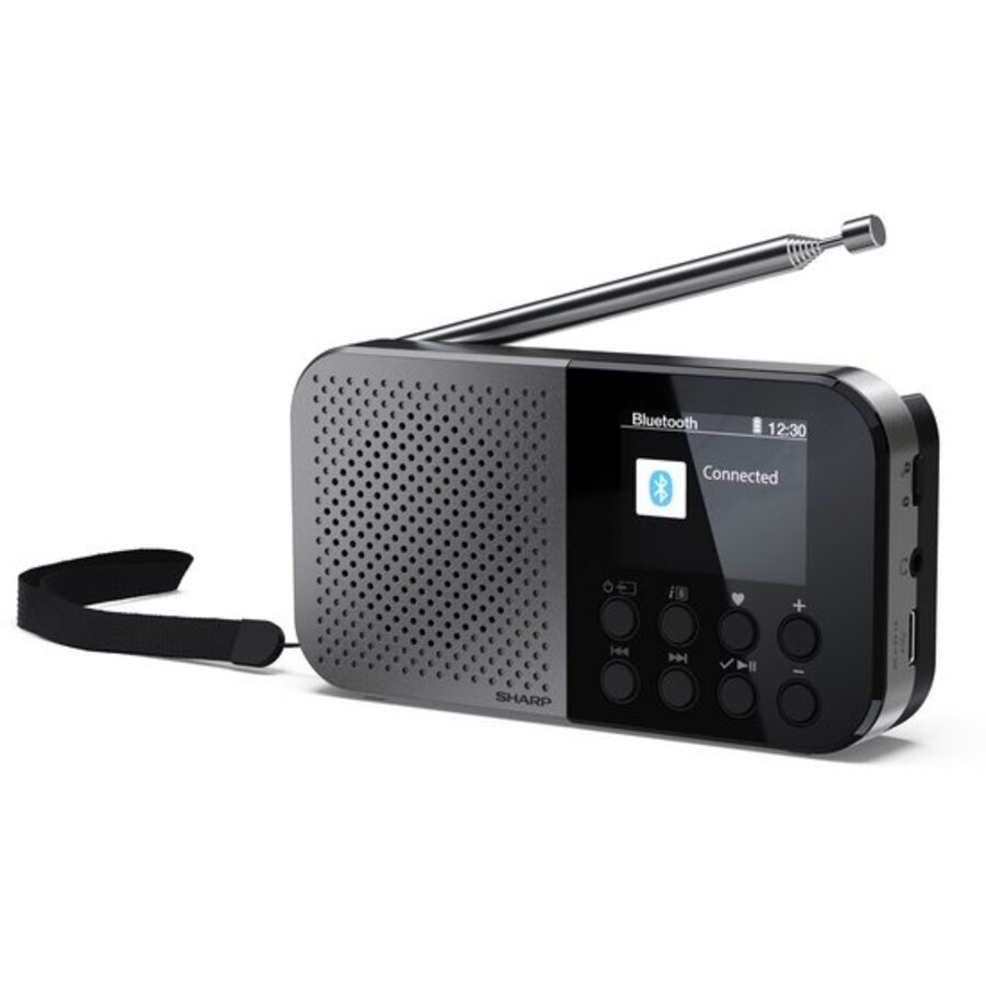 Sharp DR-P520(GY) Osaka Storm Grey DAB+ en FM Radio met Bluetooth, draagbaar ontwerp, ingebouwde accu, USB-C opladen en helder LCD-display voor thuis en onderweg-3