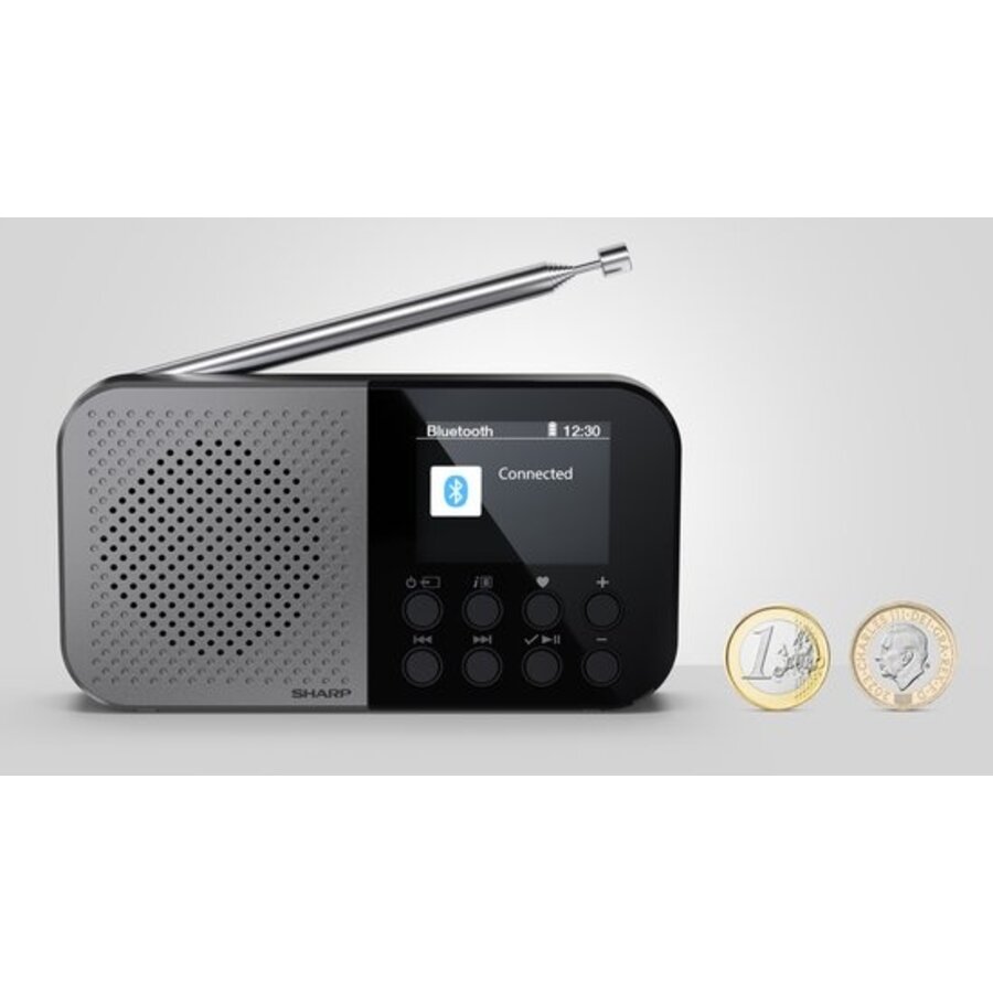Sharp DR-P520(GY) Osaka Storm Grey DAB+ en FM Radio met Bluetooth, draagbaar ontwerp, ingebouwde accu, USB-C opladen en helder LCD-display voor thuis en onderweg-4