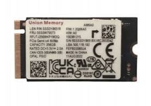 Union Memory AM6A0 256GB NVMe SSD M.2 2242 PCIe 4.0 