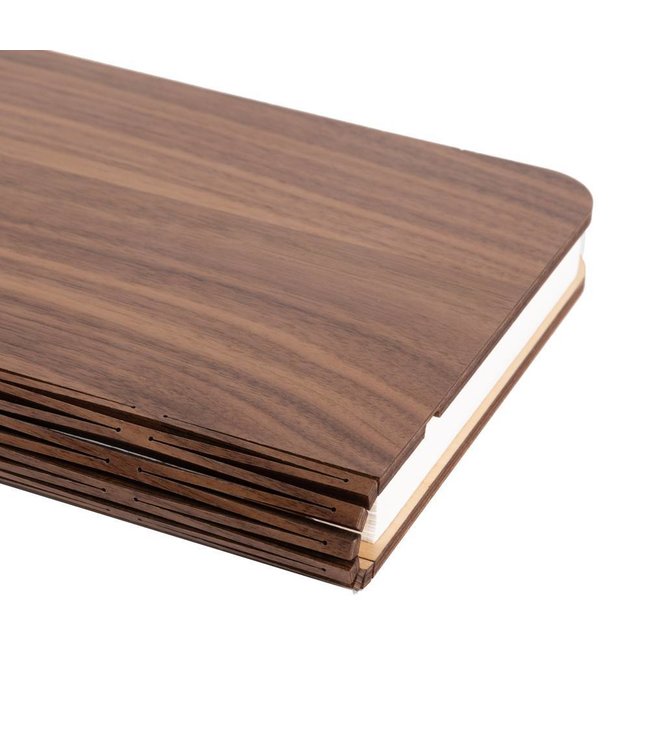 Book Lamp Walnut Brown