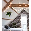 Regular Light String - White