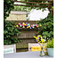 Outdoor String Light - Arco Iris