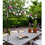 Outdoor String Light - Roza Viejo