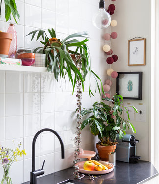 Inspiration | Kitchen | Regular Rosegarden String Light