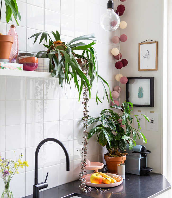 Inspiration | Kitchen | Regular Rosegarden String Light