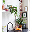 Inspiration | Kitchen | Regular Rosegarden String Light