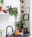 Inspiration | Kitchen | Regular Rosegarden String Light