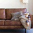 COTTON BALL LIGHTS Inspiratie | Woonkamer | Regular Sand Grey lichtslinger