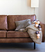 Cotton Ball Lights Inspiratie | Woonkamer | Regular Sand Grey lichtslinger