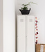 Cotton Ball Lights Inspiratie | Woonkamer | Regular Rosegarden lichtslinger