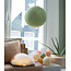 LEDR Inspiratie | Woonkamer | Powder Green Hanglamp Book Lamp Premium Light Blossom Lichtslinger