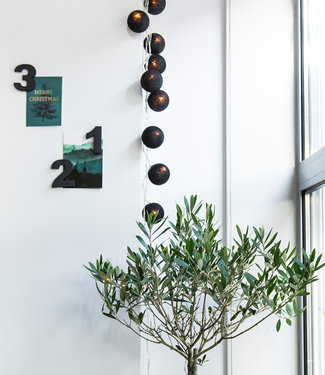 Cotton Ball Lights Inspiratie | Feest | Regular Lichtslinger Black 3