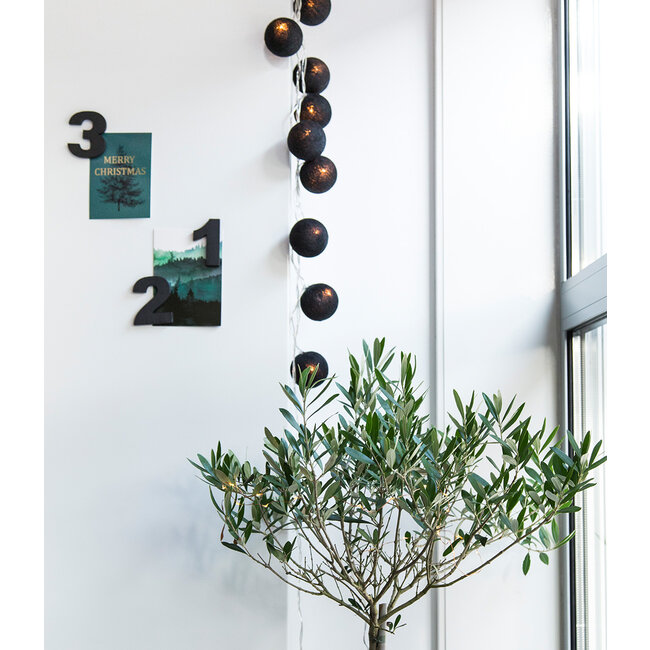 Inspiration | Party | Regular String Light Black 3