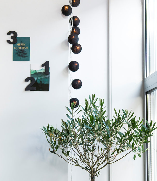 Inspiration | Party | Regular String Light Black 3