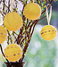 Inspiratie | Feest | Pasen Yellow