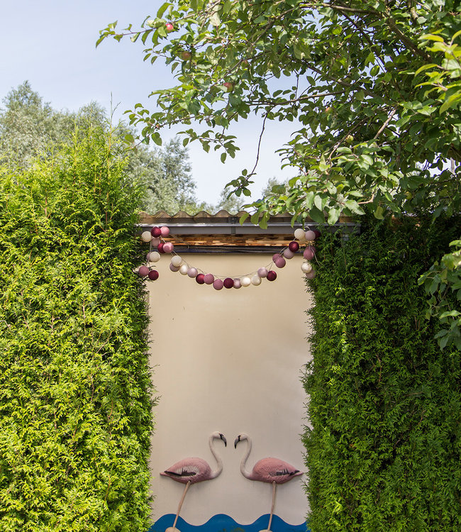 Inspiratie | Tuin | Regular Lichtslinger Rosegarden