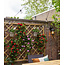 Cotton Ball Lights Inspiration | Garden | Outdoor  Regular Patio 7
