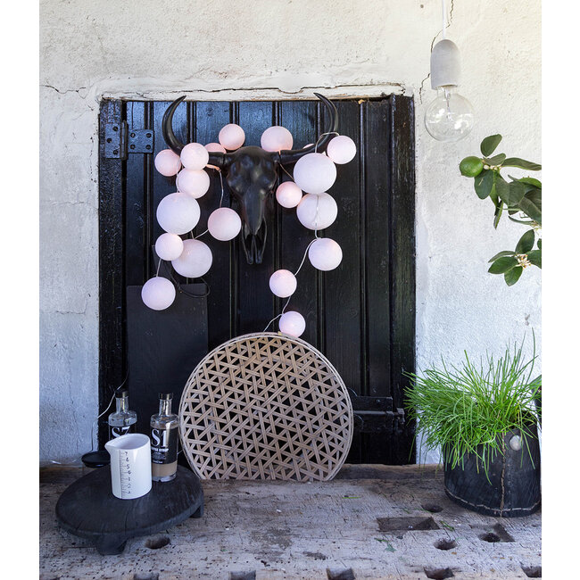 Inspiration | Garden | Premium String Light Pure Whites