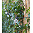 Cotton Ball Lights Inspiration | Garten | Outdoor Regular Patio 3