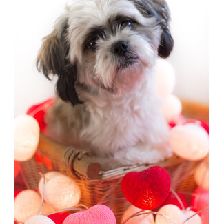 Cotton Ball Lights Inspiratie | Feest | Hearts Lichtslinger Valentijn