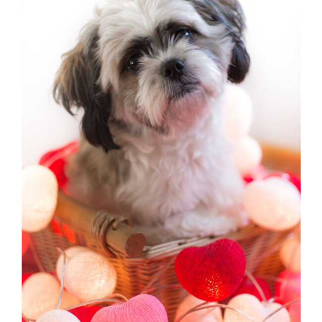 Inspiratie | Feest | Hearts Lichtslinger Valentijn