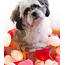 Cotton Ball Lights Inspiratie | Feest | Hearts Lichtslinger Valentijn