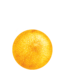 Indoor Peach