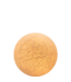Indoor Shell
