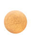 Indoor Shell