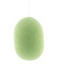 Oval Hanging Lamp - Powder Green