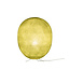 Oval Stehlampe - Powder Green