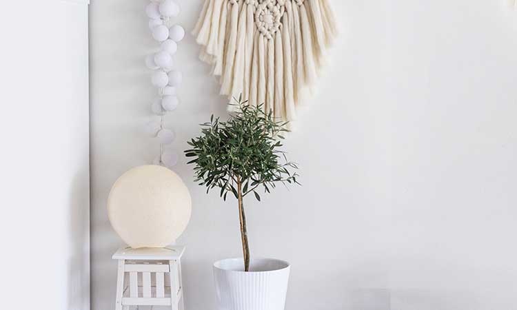 Gifts for her