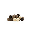 Regular Light String - Brown