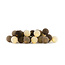 Regular Light String - Brown