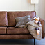 COTTON BALL LIGHTS Cotton Ball Lights Regular lichtslinger - grijs en beige - Sand/Grey