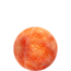 Indoor Mix Orange