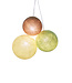 Drievoudige hanglamp 1 punt - Wild Wood