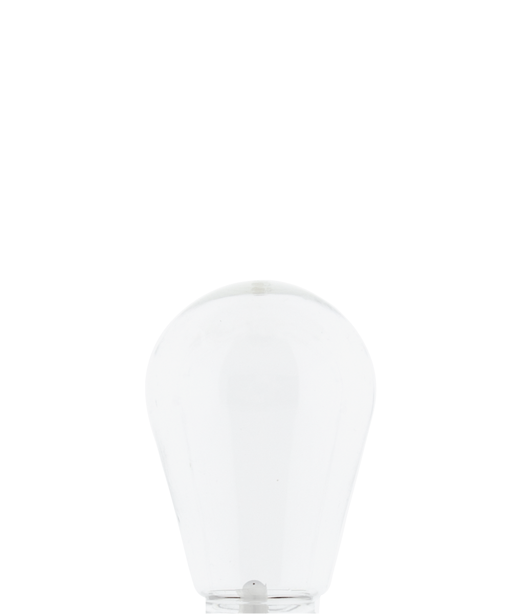 Outdoor Patio Edison Bulb - Transparant