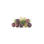 Regular Light String - Forest Fruit