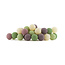 Regular Light String - Forest Fruit