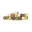 Regular Light String - Forest Fruit
