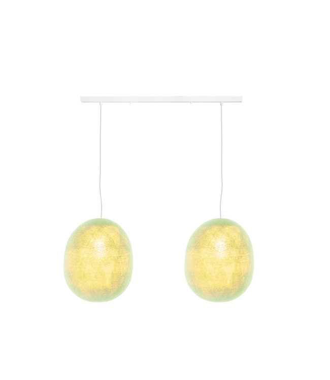 Double Hanging Lamp Ceiling - Oval Powder Green