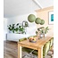 Triple Hanging Lamp Ceiling - Shell