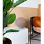 Standing Lamp - Caffe Latte