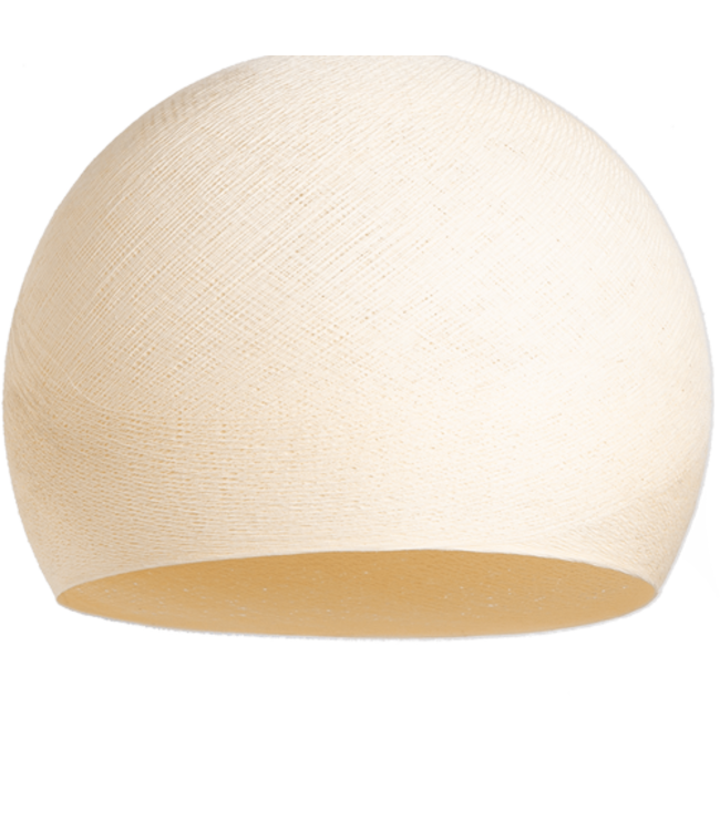 Shell - Three Quarter