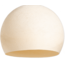 Shell - Three Quarter