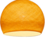 Shell - Three Quarter