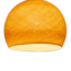 Shell - Three Quarter