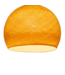 Shell - Three Quarter